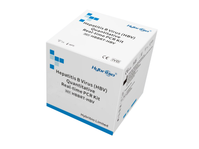 Hepatitis B Virus Real-time PCR Kit