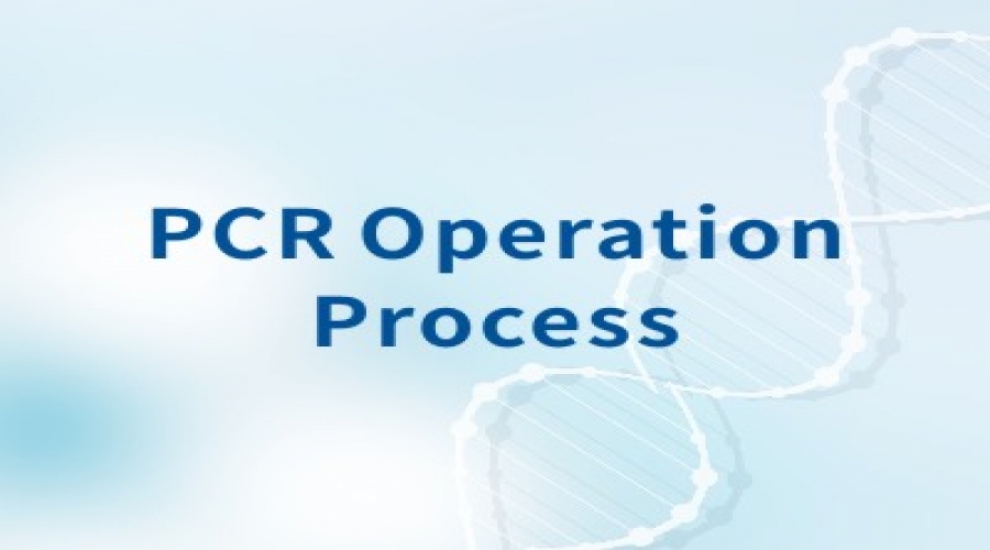 PCR Operation Process