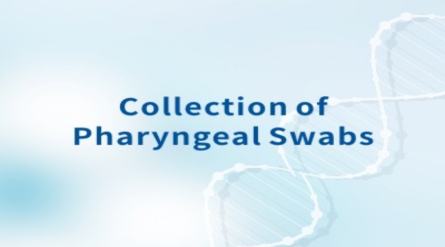 Collection of Pharyngeal Swabs